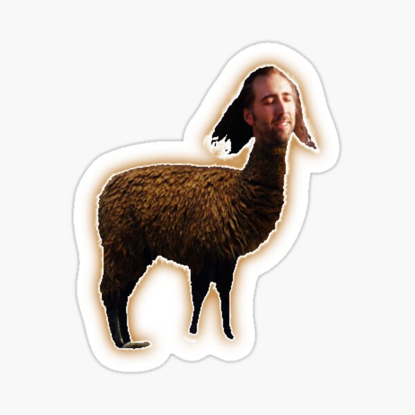Item preview, Nicolas Cage as Llama - Nicholas Cage - Nick Cage - Nic Cage  designed and sold by PAFDesign.