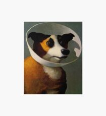 Orejeras de perro Art Board