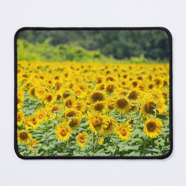 Item preview, I'll Follow the Sun designed and sold by John Lines.