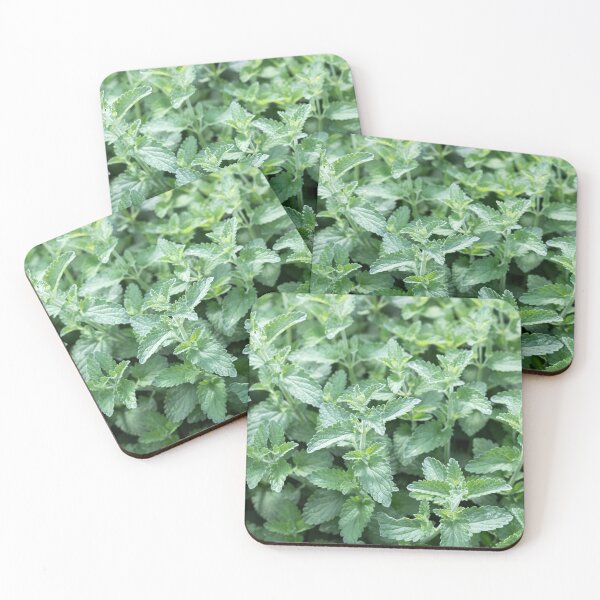Item preview, Nepeta Grandiflora Leaves designed and sold by Tanya C  Smith.