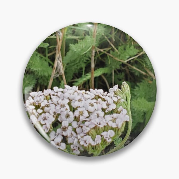Item preview, Wyoming Wildflowers Wildflowers Photo designed and sold by Willyboy16.