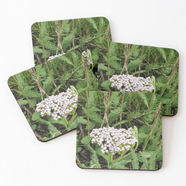 Item preview, Wyoming Wildflowers Wildflowers Photo designed and sold by Willyboy16.