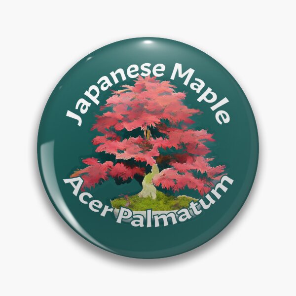 Item preview, Japanese Maple Bonsai Tree designed and sold by Petalglassjade.