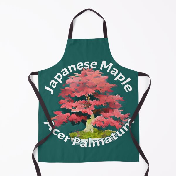 Item preview, Japanese Maple Bonsai Tree designed and sold by Petalglassjade.