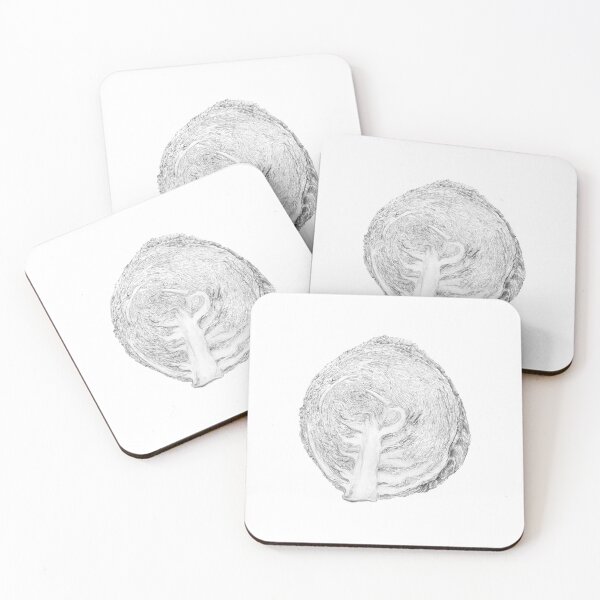 Item preview, Cabbage Brassica Scientific illustration designed and sold by clorofila.