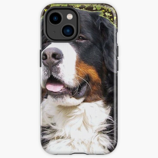 Bernese mountain dog portrait iPhone Tough Case