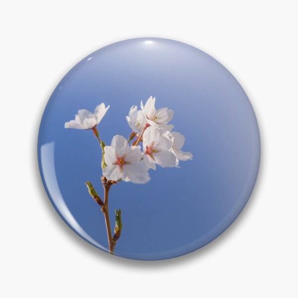 Item preview, Blossom branch against the sky designed and sold by CyaniRose.