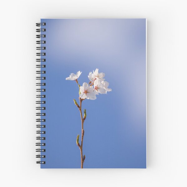 Item preview, Blossom branch against the sky designed and sold by CyaniRose.