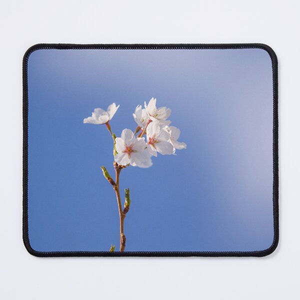 Item preview, Blossom branch against the sky designed and sold by CyaniRose.