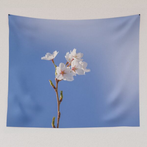 Item preview, Blossom branch against the sky designed and sold by CyaniRose.