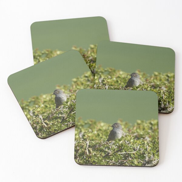 Item preview, Dunnock on a Hedge designed and sold by rwhooster.