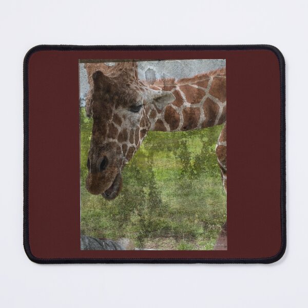 Item preview, Close up with Giraffe designed and sold by DentistArt2022.