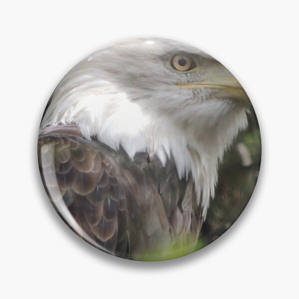 Item preview, Bald Eagle designed and sold by Robert Ball.
