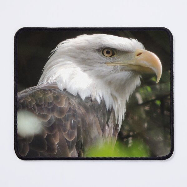 Item preview, Bald Eagle designed and sold by Robert Ball.
