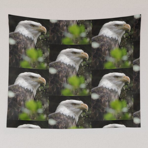 Item preview, Bald Eagle designed and sold by Robert Ball.