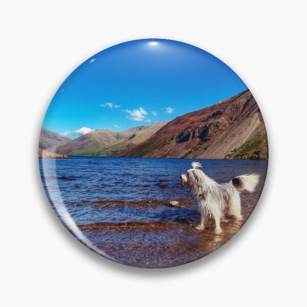 Item preview, Bailey @ Wastwater designed and sold by Paul Thompson Photography.