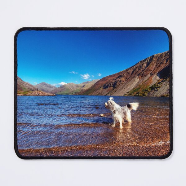 Item preview, Bailey @ Wastwater designed and sold by Paul Thompson Photography.