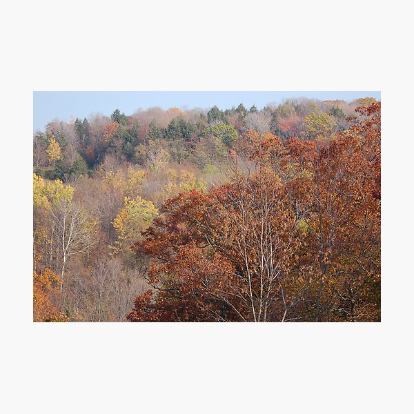 Fall on Display Photographic Print