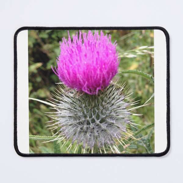Item preview, I love Scotland. designed and sold by JPOempathy.