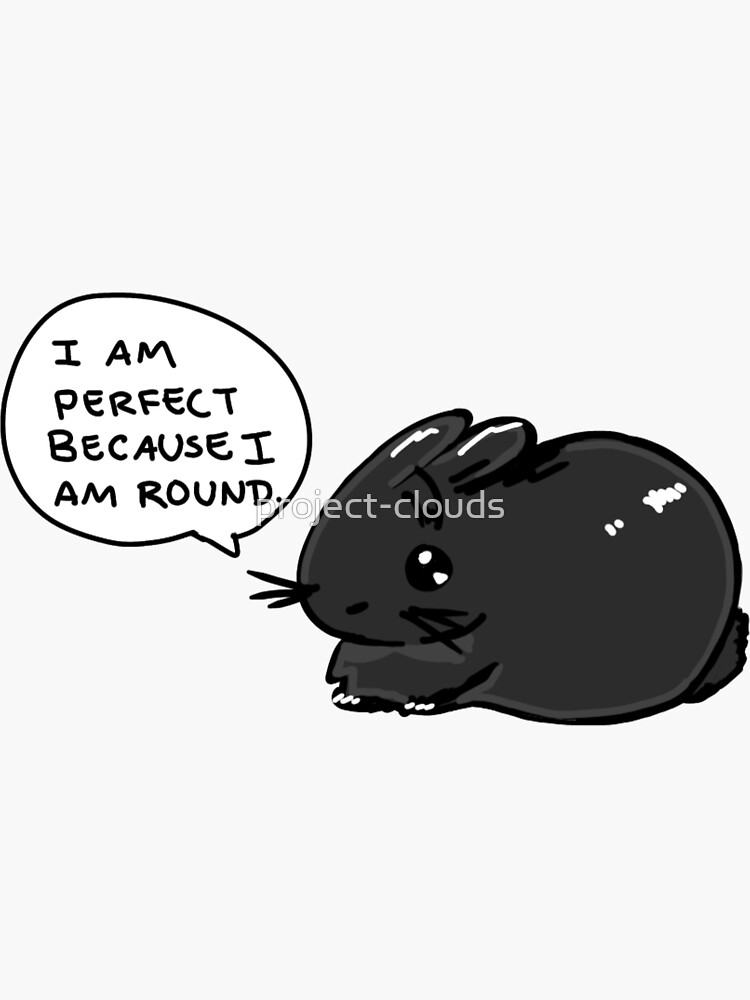 "The Perfect Bunny Sticker" Sticker for Sale by projectclouds Redbubble