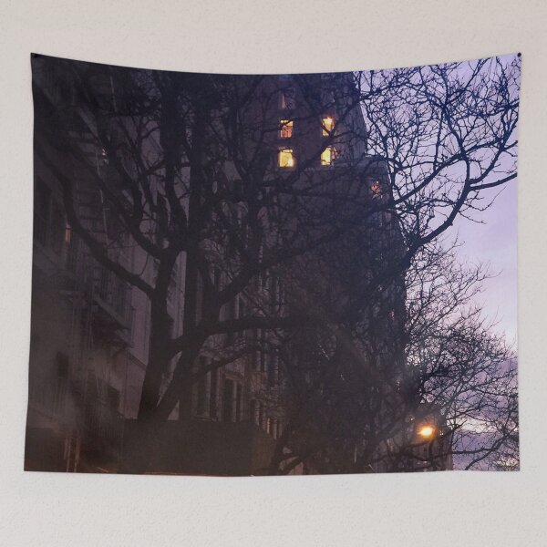 Item preview, House Trees Winter, Upper West Side, Manhattan, NYC  designed and sold by eleonoraingrid.
