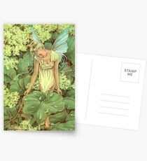Dew Fairy Postcards