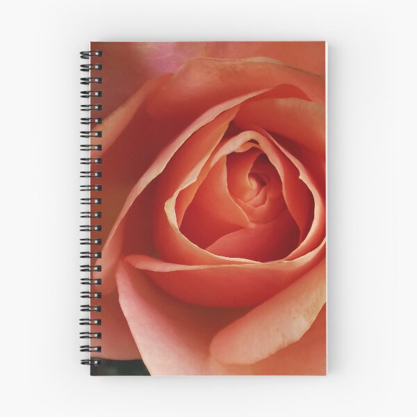 Item preview, Beautiful peach Rose designed and sold by Bumpulous.