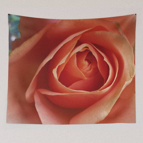 Item preview, Beautiful peach Rose designed and sold by Bumpulous.