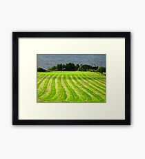 Sunlit Field, Donegal, Ireland Framed Print