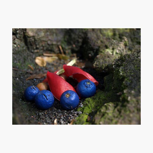 Item preview, Berries designed and sold by Jimson Carr.