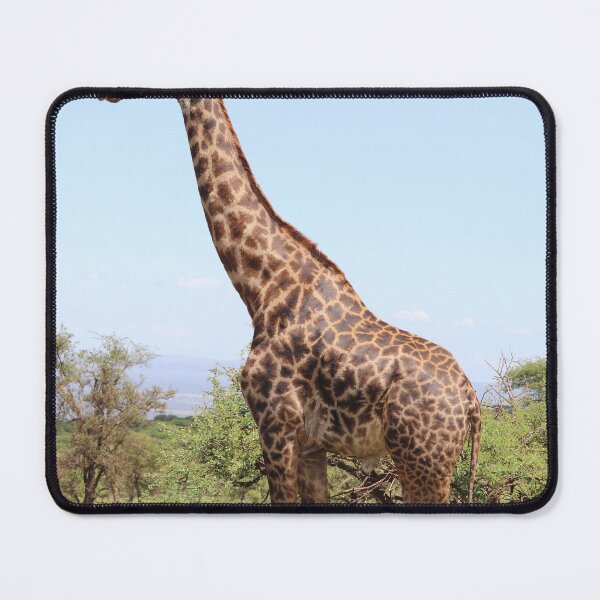 Item preview, Wild Giraffe designed and sold by newburyboutique.