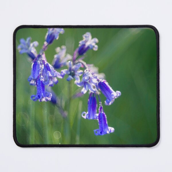 Item preview, Soft delicate dainty bluebell flower designed and sold by CyaniRose.