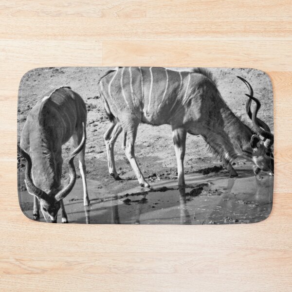 Item preview, A Pair of Kudu Bulls designed and sold by Jeremy Hayden.