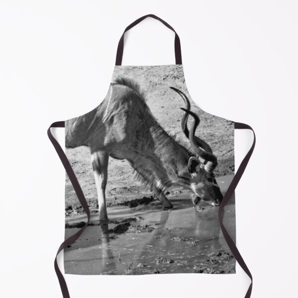 Item preview, A Pair of Kudu Bulls designed and sold by Jeremy Hayden.