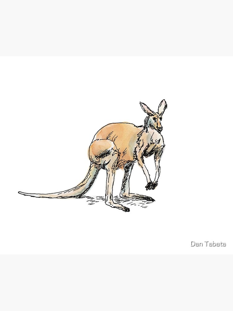 Kangaroo-in-waiting by dmtab