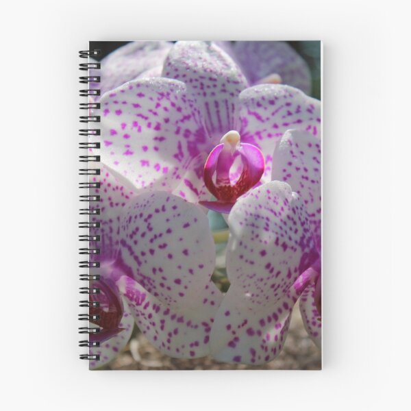 Item preview, Bedazzled designed and sold by Michiale.