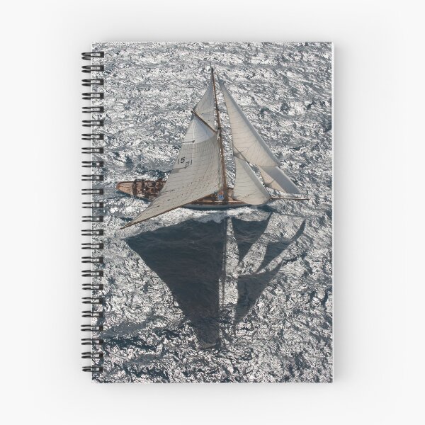 Item preview, Bird's eye view designed and sold by James Robinson Taylor.