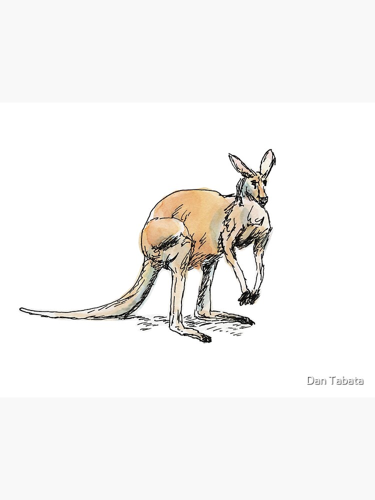 Kangaroo-in-waiting by dmtab
