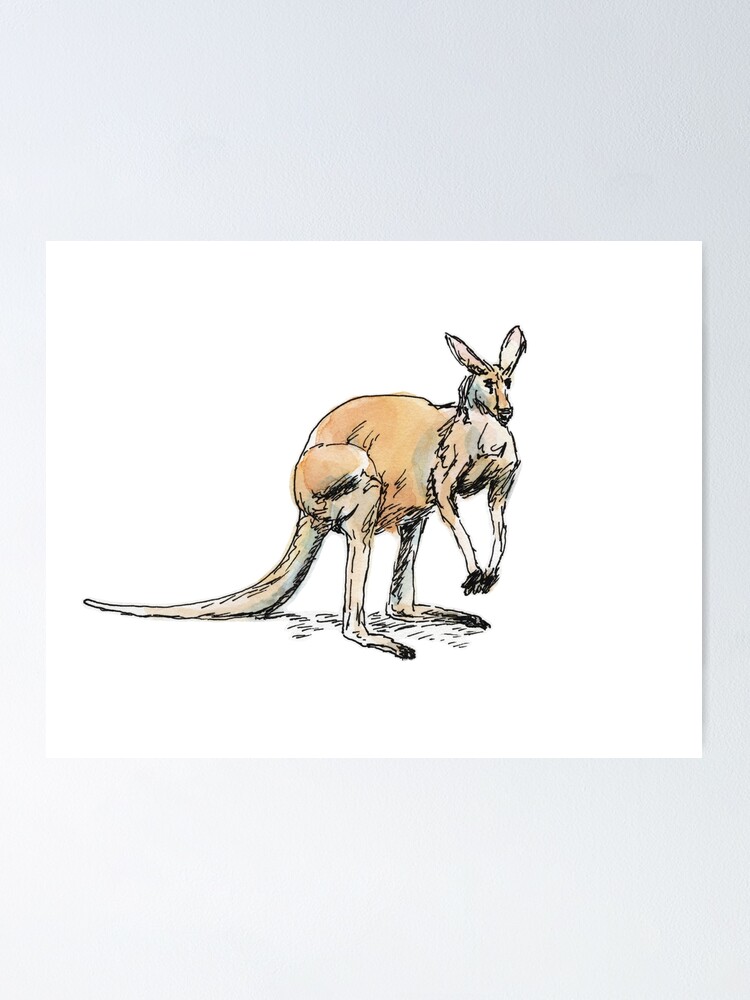 Alternate view of Kangaroo-in-waiting Poster