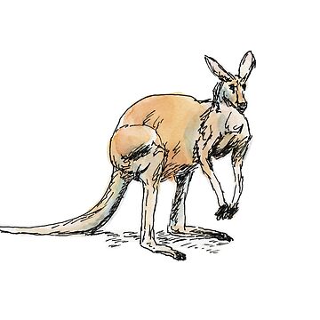 Artwork thumbnail, Kangaroo-in-waiting by Dan Tabata