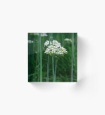 Elation Acrylic Block