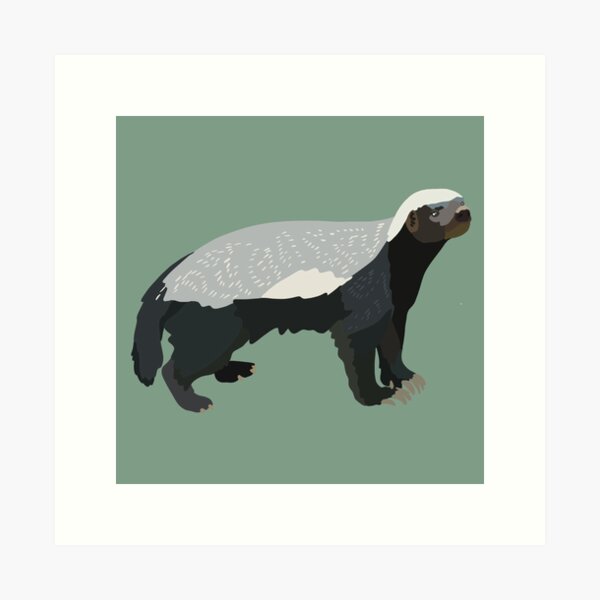 Honey Badger Art Prints for Sale