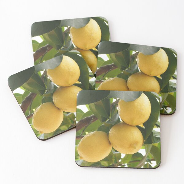 Item preview, Lemon Tree designed and sold by newburyboutique.