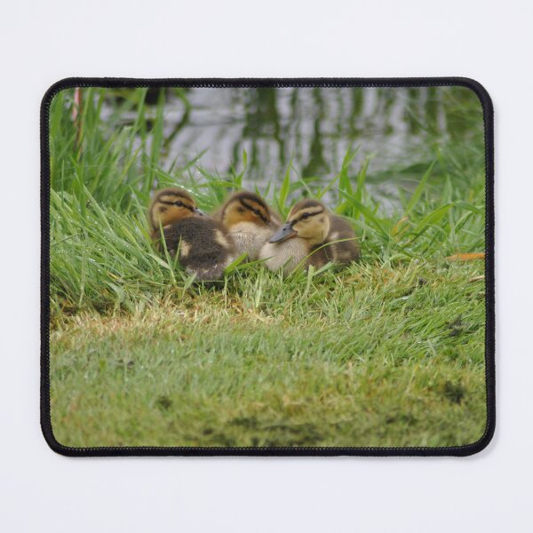 Item preview, Baby Ducks Doo Doo Doo Doo Doo Doo designed and sold by joelbakken39.