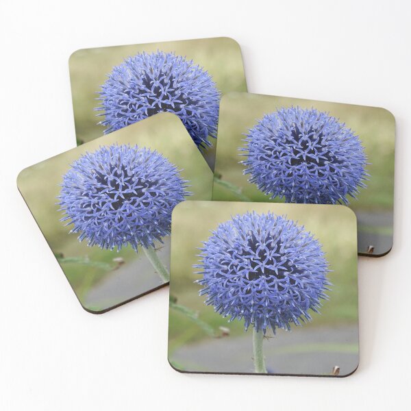 Item preview, Globe Thistle designed and sold by GingerMan2550.