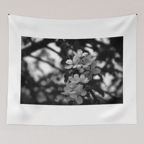 Item preview.