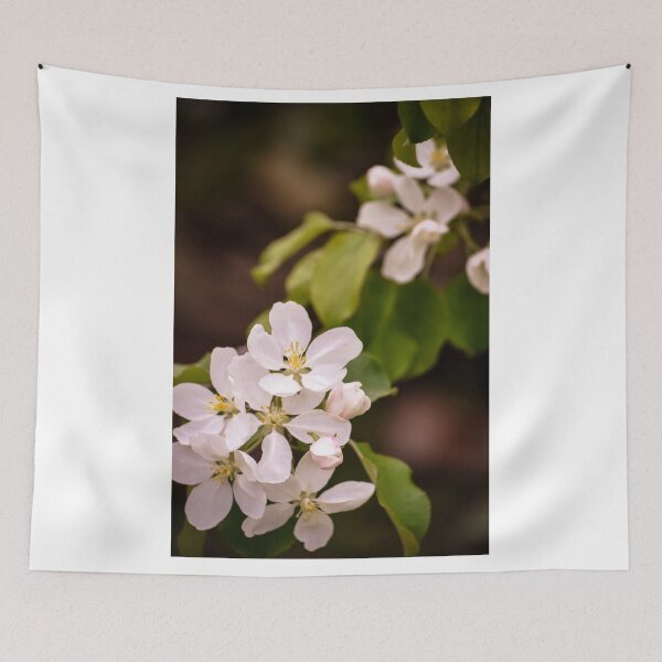 Item preview, Apple blossoms designed and sold by ChicksPhoto.