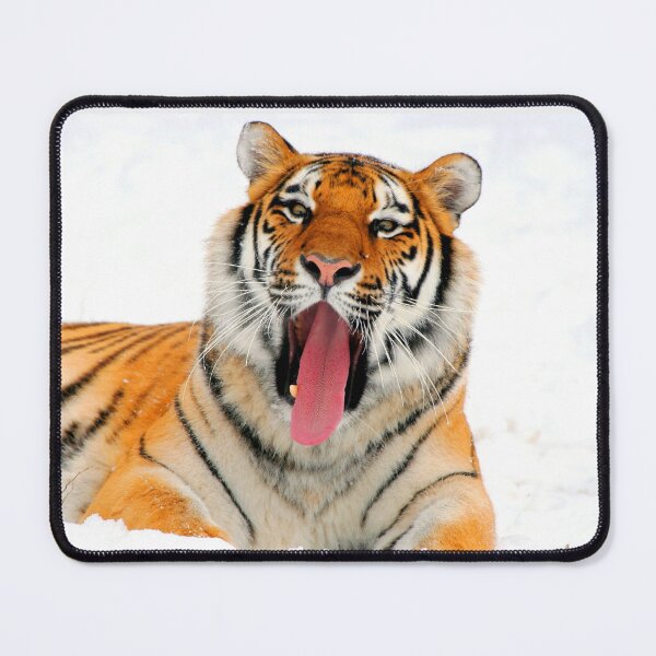 Item preview, ANIMALS #43 - Yawning Tiger in Snow designed and sold by DEL-Productions.