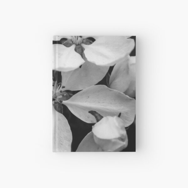 Item preview, Black and White Blossoms designed and sold by ChicksPhoto.