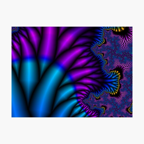 Peacock Feathers Photographic Print